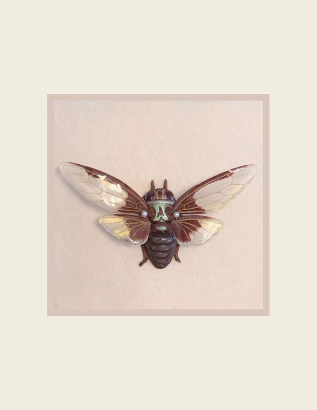 Batwing Cicada