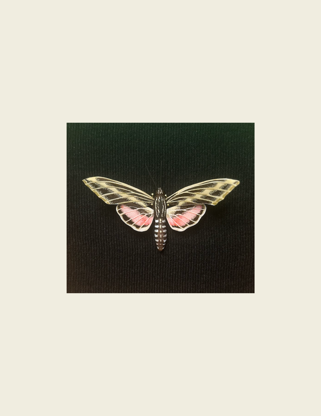 Custom Insect- Single