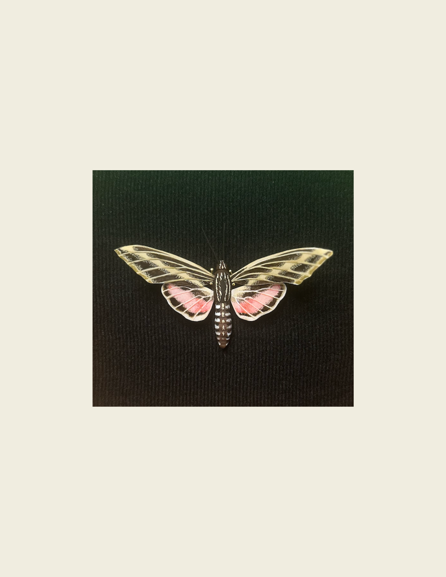 Custom Insect- Single