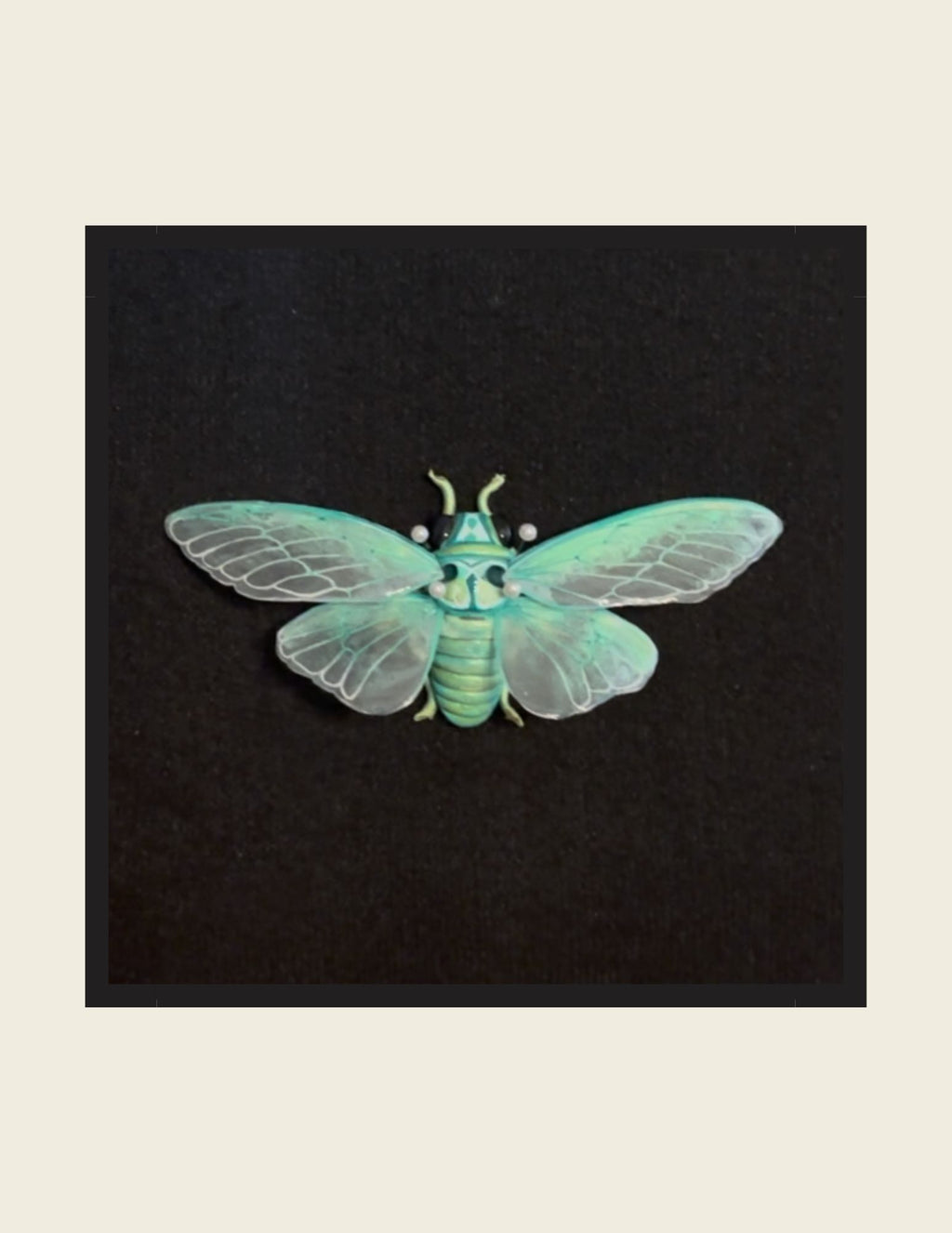 Blue Moon Cicada