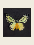 Giant Green Birdwing