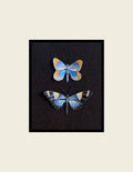 Karner Blue Butterfly & Sara Longwing