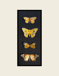 Set of 4- Gold Butterflies