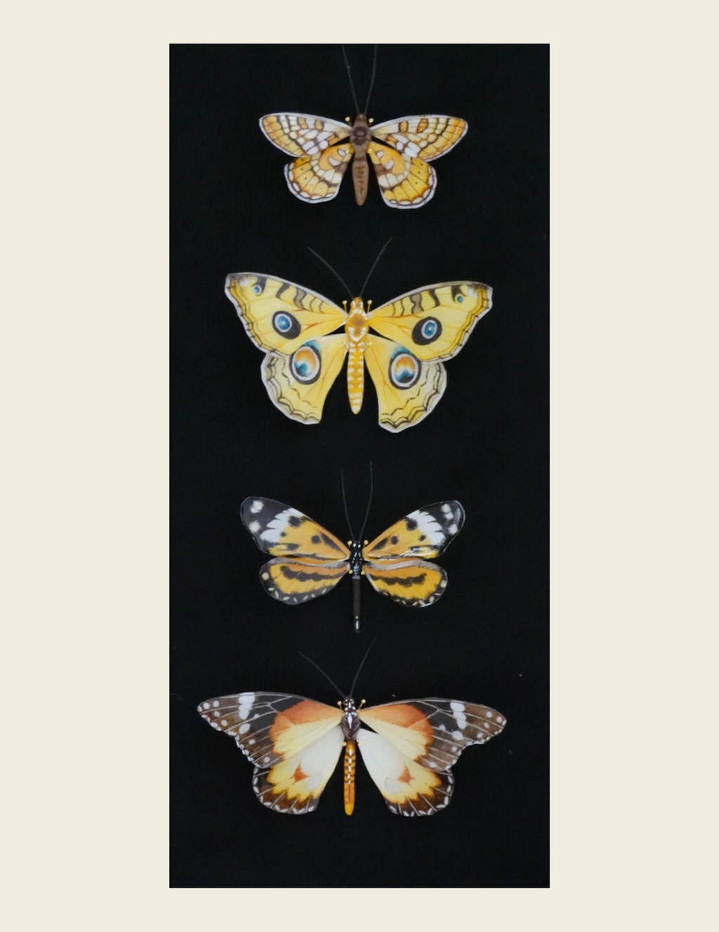 Custom Insect- Multi