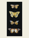 Set of 4- Gold