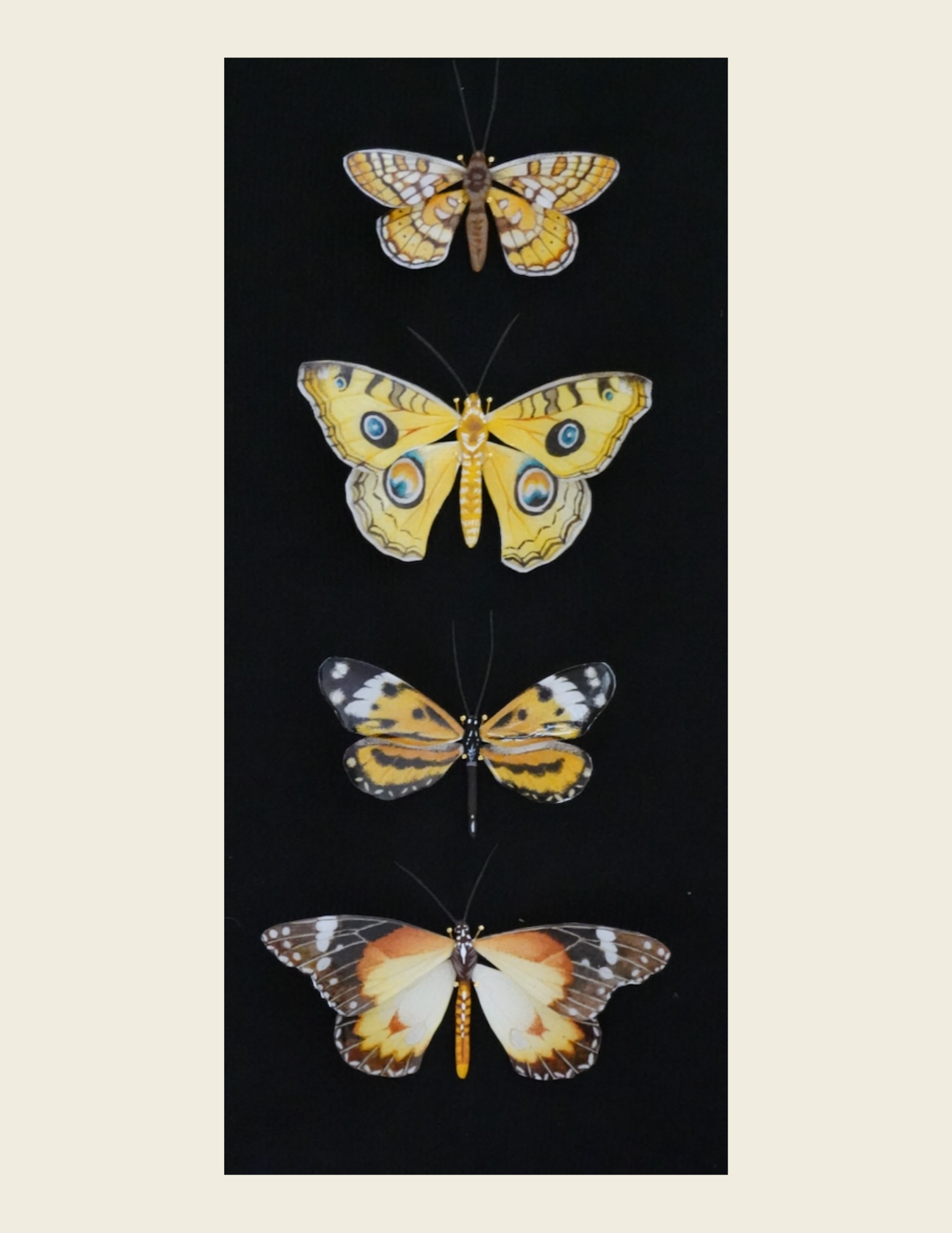 Custom Insect- Multi