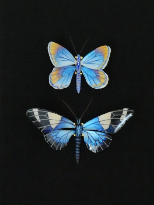 Karner Blue Butterfly & Sara Longwing