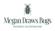 Megan Draws Bugs - Home