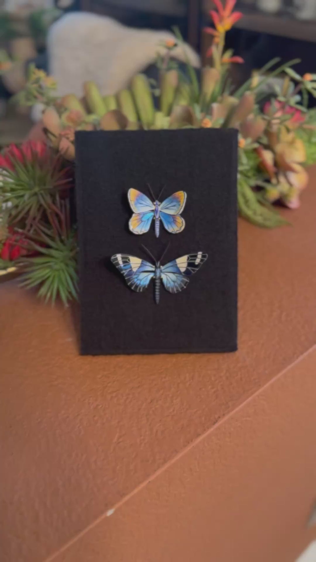 Karner Blue Butterfly & Sara Longwing