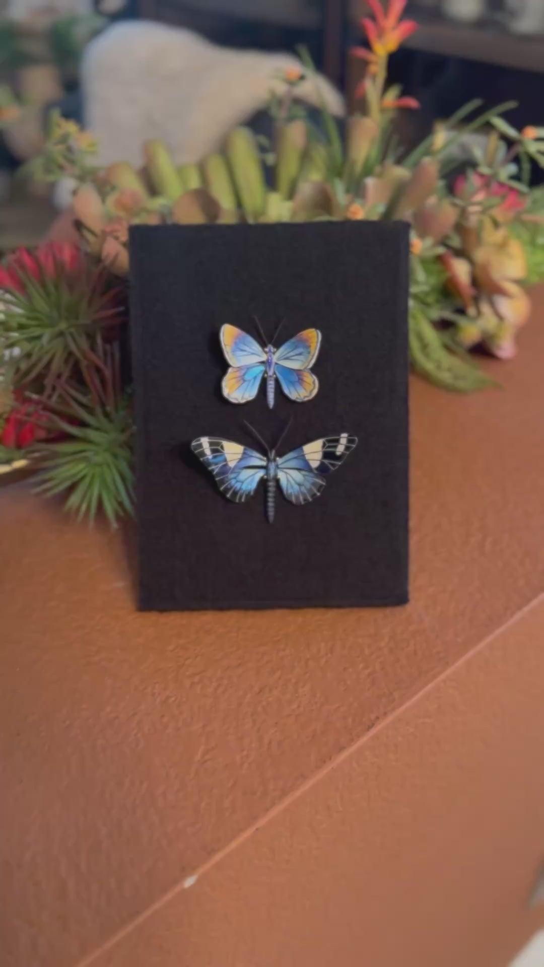 Karner Blue Butterfly & Sara Longwing