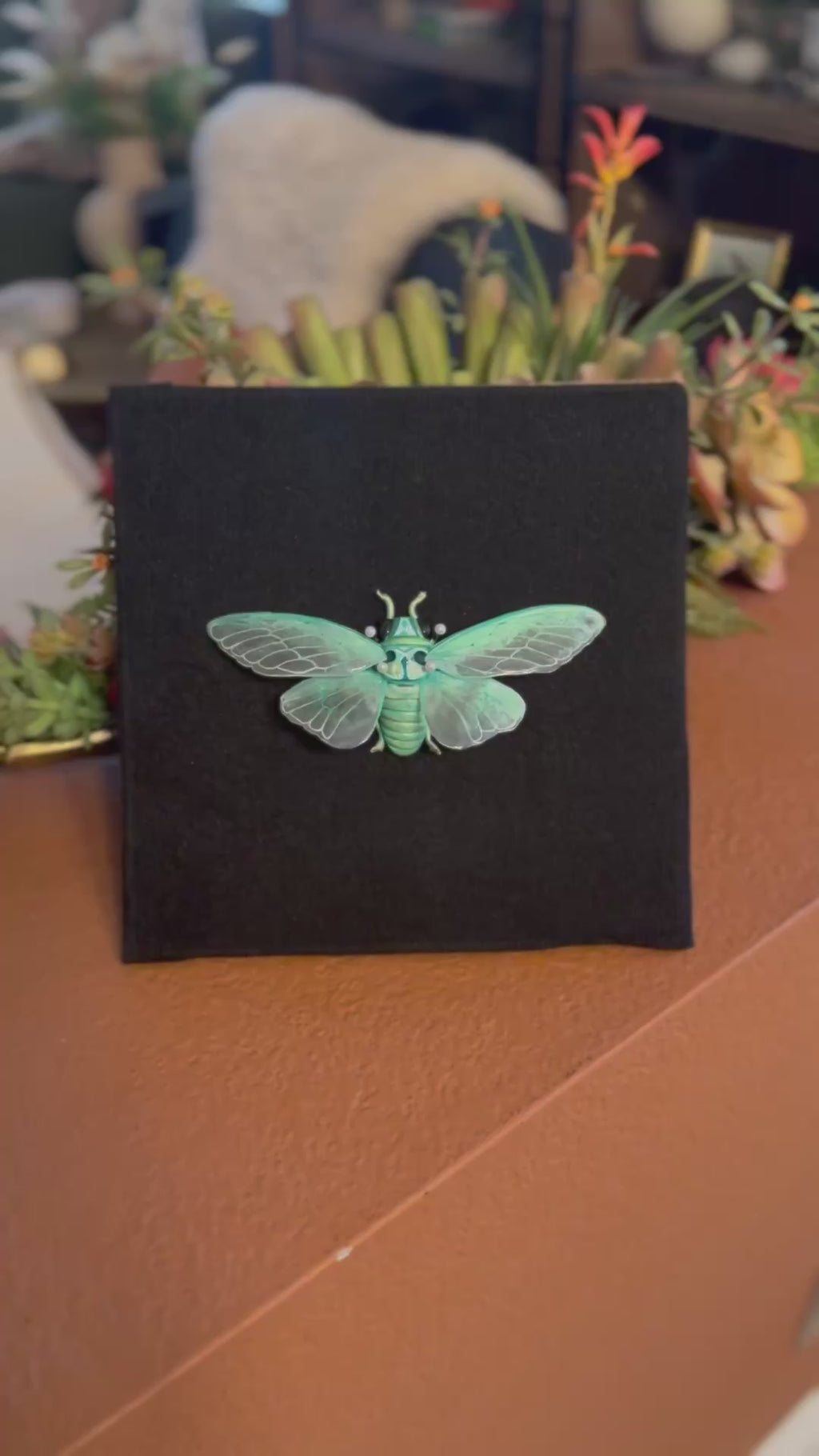 Blue Moon Cicada