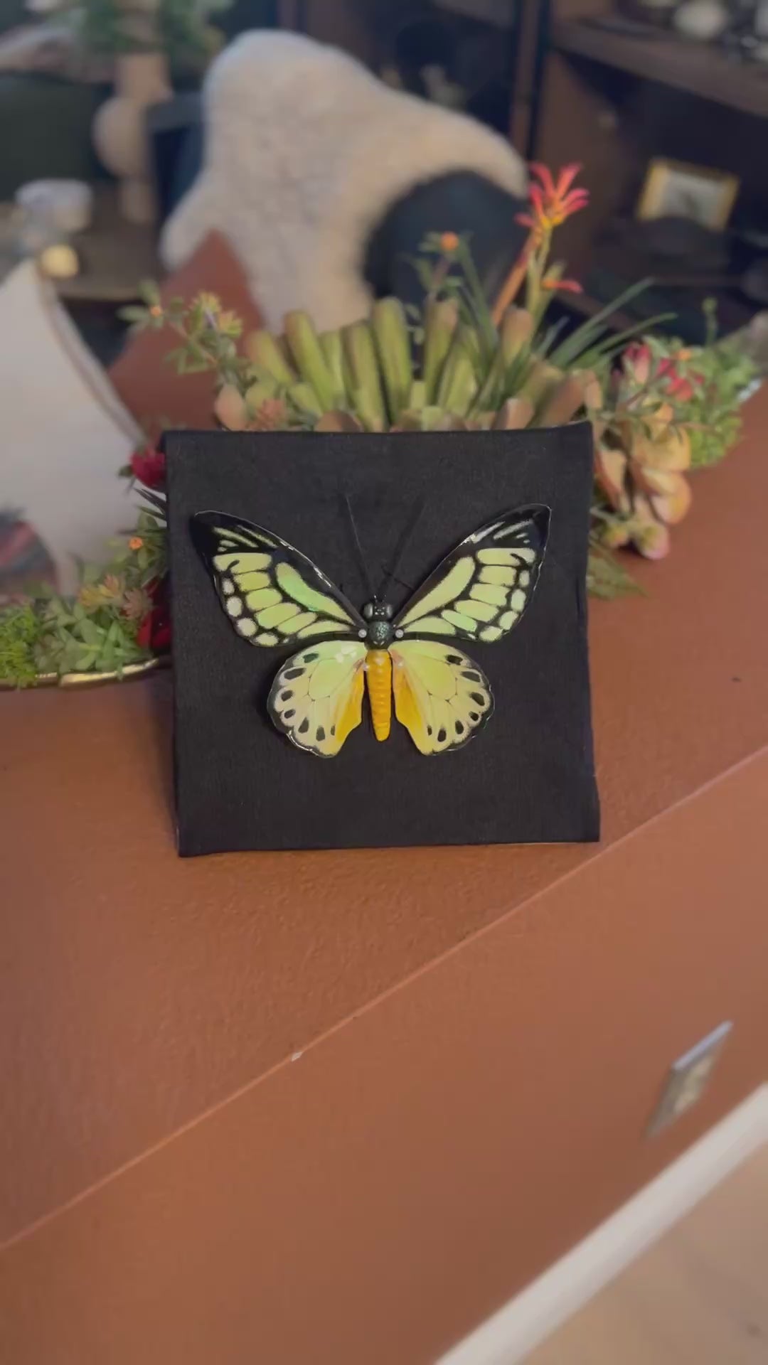 Giant Green Birdwing