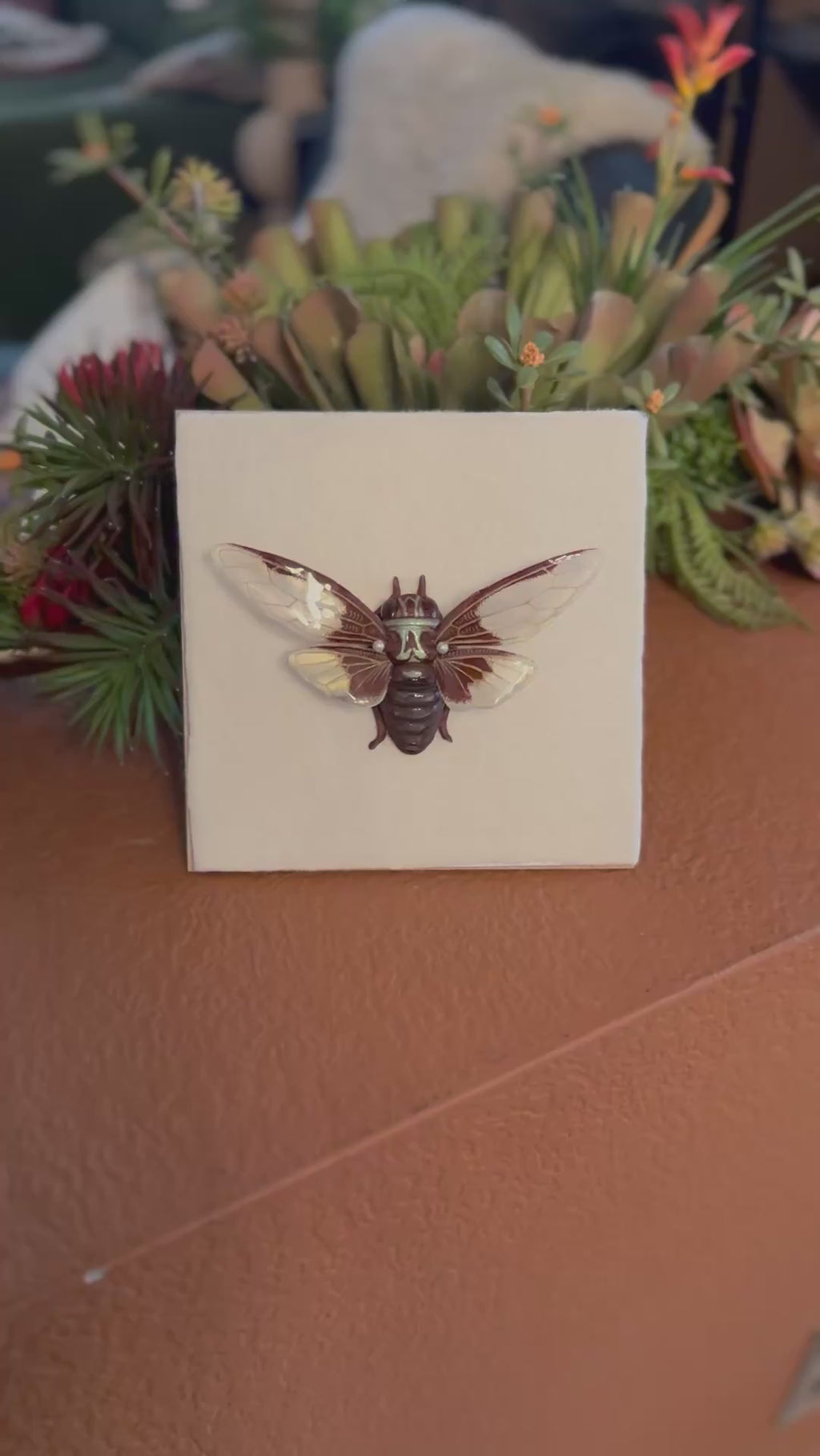 Batwing Cicada